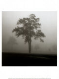 Fog Tree Study I Prints by Jamie Cook