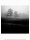 Fog Tree Study II Posters by Jamie Cook
