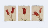 Sisters Prints by Amy Melious