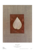 Silver Leaf IV Posters by Franco D'ottore