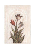 Tulip Companion I Prints by Dexter Mcgowan Tulip Companion I Prints by Dexter Mcgowan