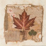 Maple Prints by Pamela Gladding