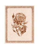 Sepia Rose I Posters by Samuel Kay