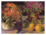 Primrose l Print by Shari White