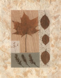 Copper Beech Prints by Denise Duplock