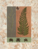 Green Fern Posters by Denise Duplock
