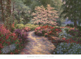 Azalea Glade Posters by Barbara Hails