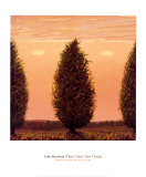 Three Trees, Two Clouds Poster av John Beerman Three Trees, Two Clouds Poster av John Beerman