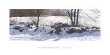 Stonerow Posters by Ray Hendershot