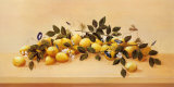 Lemons and Blossoms Posters by Hampton Hall Lemons and Blossoms Posters by Hampton Hall