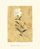 My Honey Flower Posters by Dominique Gaudin My Honey Flower Posters by Dominique Gaudin