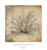 Rain Forest Study II Poster by Susan Gillette
