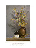 Forsythia Prints by Ray Hendershot