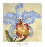 Hot Blooms III Plakat av Marysia Burr Hot Blooms III Plakat av Marysia Burr