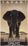 Steve Forney - Serengeti - Tablo Steve Forney - Serengeti - Tablo