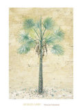 Moroccan Enchantment Print by Jacques Lamy Moroccan Enchantment Print by Jacques Lamy