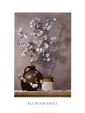 Silver Dollars Prints by Ray Hendershot