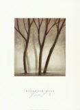 Forest II Posters by Hess 