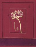 Delhi Daisy Prints by Gaelle Cicarda Delhi Daisy Prints by Gaelle Cicarda