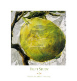 Fruit Study I Prints by Dennis Carney
