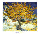 A Árvore de Amora, c.1889 Pôsters por Vincent van Gogh A Árvore de Amora, c.1889 Pôsters por Vincent van Gogh
