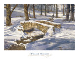 Shadows and Light Pôsters por William Mangum Shadows and Light Pôsters por William Mangum