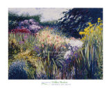 Hidden Meadow Poster by Greg Singley