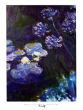 Water Lilies and Agapanthus, 1914-1917 Prints by Claude Monet