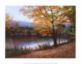 Otoño dorado Láminas por Diane Romanello Otoño dorado Láminas por Diane Romanello