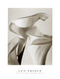 Three Calla Lilies, 1996 Prints by Len Prince