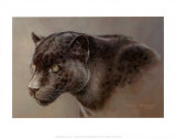 Cazador en la sombra Pósters por Kalon Baughan Cazador en la sombra Pósters por Kalon Baughan