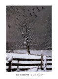 Vol hivernal Affiches par Bob Timberlake