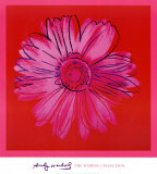 Daisy, c. 1982 (crimson and pink) Láminas por Andy Warhol Daisy, c. 1982 (crimson and pink) Láminas por Andy Warhol