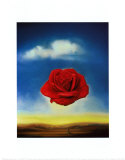 Rose méditative Posters par Salvador Dalí