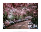 Azalea Walk Poster par Diane Romanello
