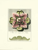 Pastel Rosettes I Posters by Carlo Antonini
