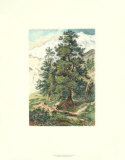 A Majestic View Posters by Ernest Heyn