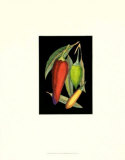 Hot Peppers I Prints by Valentini 