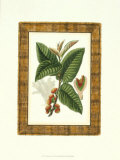 Tropical Fruit IV Print