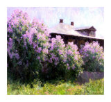 Sunny Morning Prints by Alexander Kosnichev