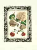 Zebra Bordered Botanical III Prints by Poiret 