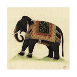 Elephant from India II Art Elephant from India II Art