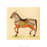 Cheval indien I Posters