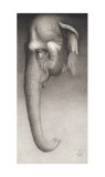 Toni, the Elephant Print by Caldwell 