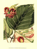 Fantastical Botanical I Art by Samuel Curtis
