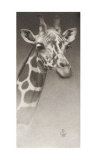 Jean the Giraffe Poster by Caldwell 