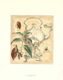 Cocoa Plant Prints by Walter H. Fitch