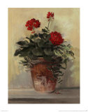 Potted Geraniums II Poster di Carol Rowan