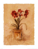 Secret Amaryllis II Posters van Cheri Blum