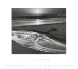 Birds On A Beach Sztuka autor Ansel Adams